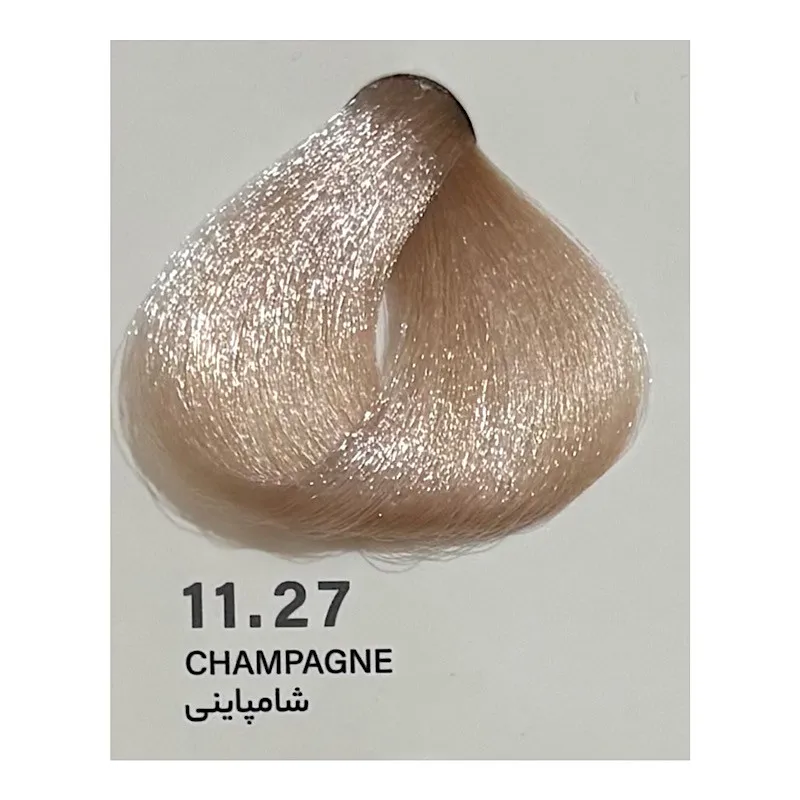 رنگ مو انزو شماره ۱۱.۲۷ مدل نیو حجم ۱۰۰ میلیلیتر رنگ شامپاینی - تصویر 2