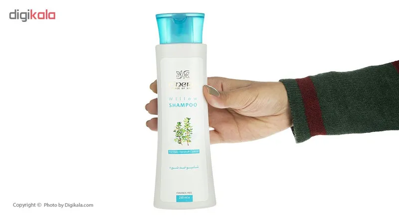 شامپو ضد شوره سینره مدل Anti Dandruff Willow حجم 250 میلی لیتر - تصویر 4