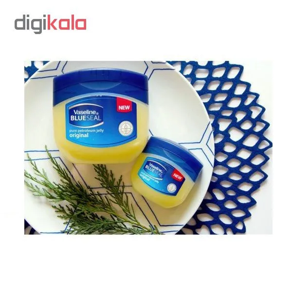 کرم وازلین مدل BlueSeal حجم 100 میلی لیتر - تصویر 2