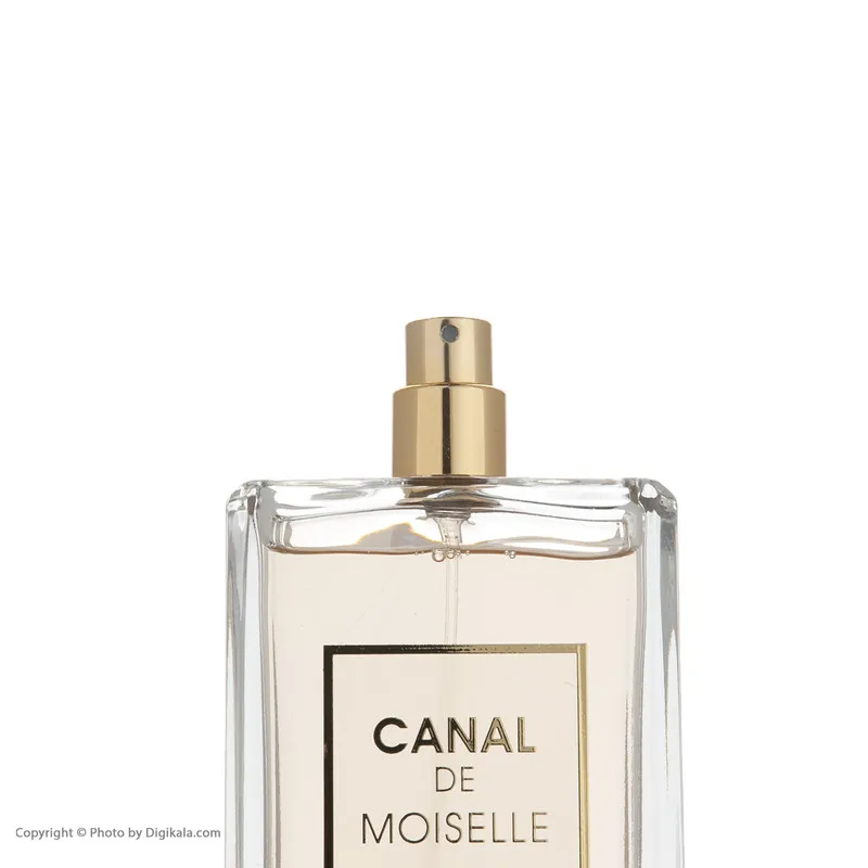 ادو پرفیوم زنانه فراگرنس ورد مدل Canal De Moiselle حجم 100 میلی لیتر - تصویر 3