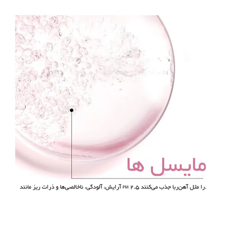 محلول پاک کننده آرایش صورت گارنیه مدل Skin Naturals حجم 400 میلی لیتر - تصویر 5