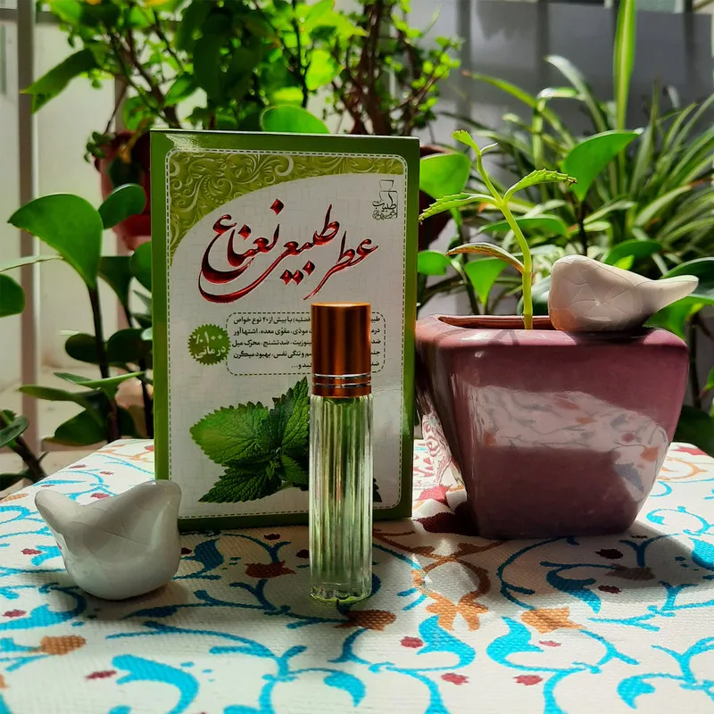 عطر جیبی طبیب مدل نعناع حجم 4 میلی لیتر - تصویر 3
