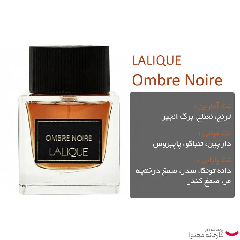 ادو پرفیوم مردانه لالیک مدل Ombre Noire حجم 100 میلی لیتر - تصویر 3