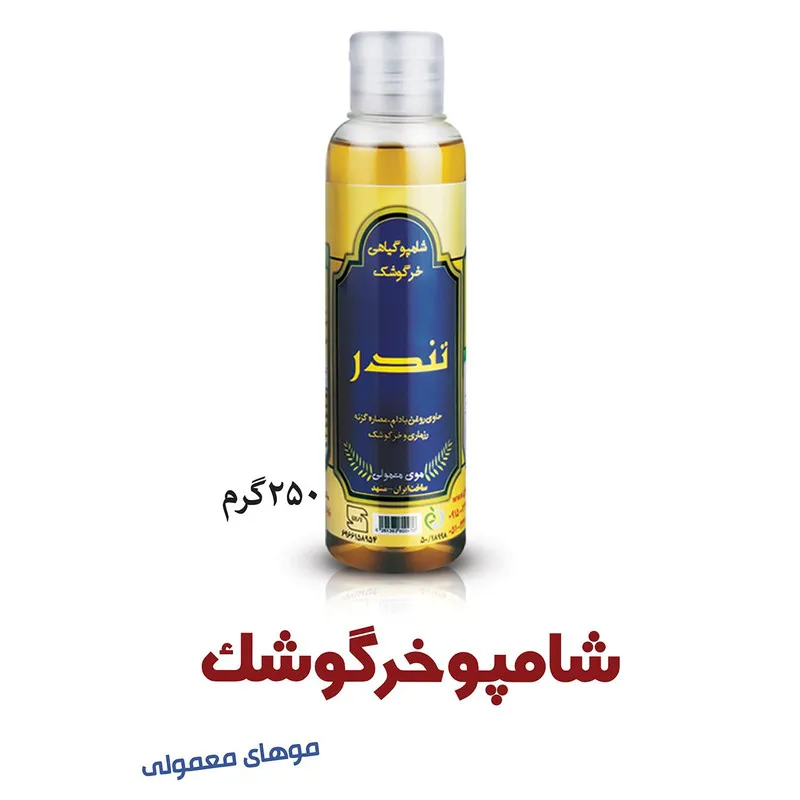 شامپو مو تندر مدل T1003 حجم 250 میلی لیتر - تصویر 2