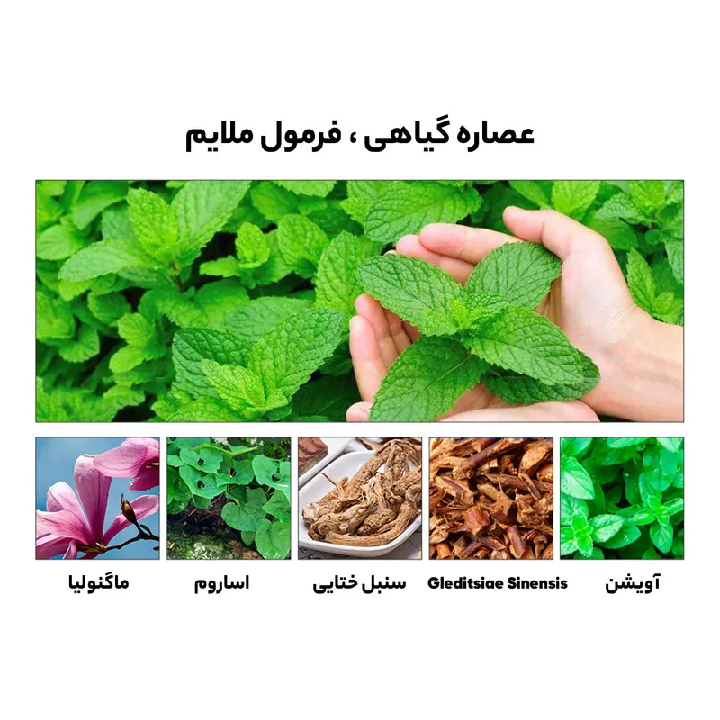 محلول سفید کننده دندان لنبنا مدل اسنس حجم 10 میلی لیتر - تصویر 5