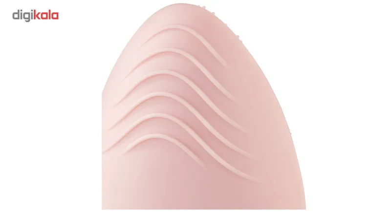 برس پاکسازی صورت هومدیکس مدل FAS-310-EU - تصویر 4