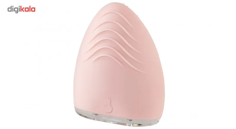 برس پاکسازی صورت هومدیکس مدل FAS-310-EU - تصویر 5