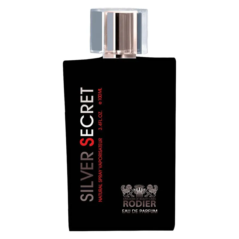 ادو پرفیوم مردانه رودیر مدل Silver Secret حجم 100 میلی لیتر - تصویر 2