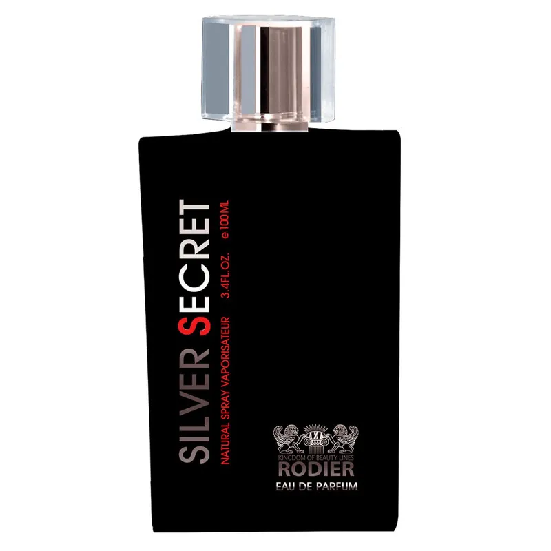 ادو پرفیوم مردانه رودیر مدل Silver Secret حجم 100 میلی لیتر - تصویر 3