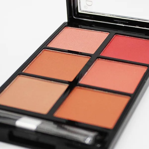 پالت رژ گونه رمانتیک برد مدل 6B V-Face Beauty Looks  B - تصویر 3