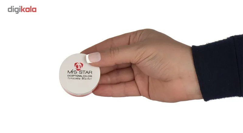 رژ گونه تراکوتا میستار مدل MTS04 شماره 4 - تصویر 4