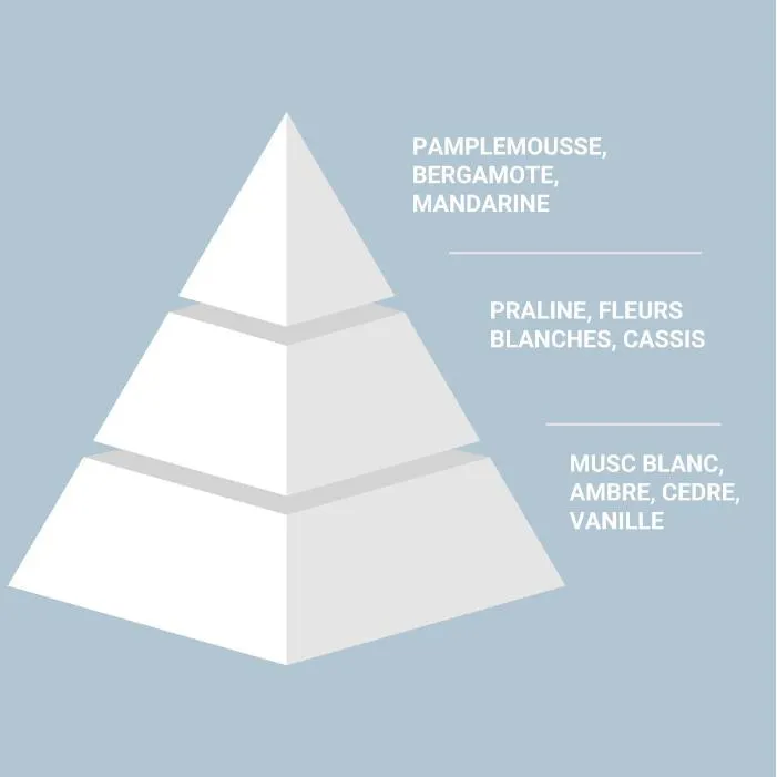 ادو پرفیوم مردانه الیسیس فشن مدل wood حجم 100 میلی لیتر - تصویر 3