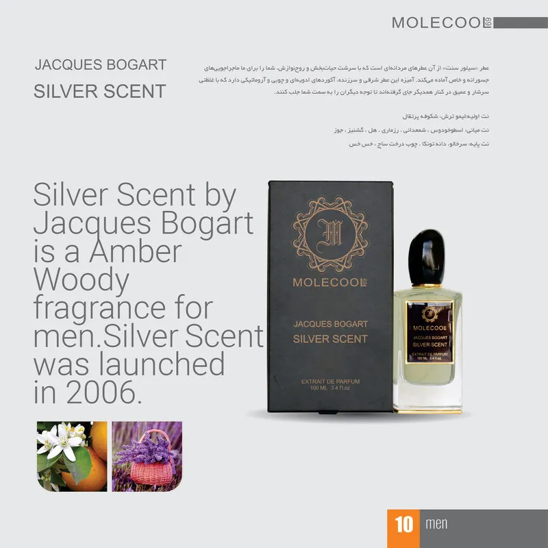 ادوپرفیوم مردانه مولکول مدل SILVER SCENT حجم 100 میلی لیتر - تصویر 3