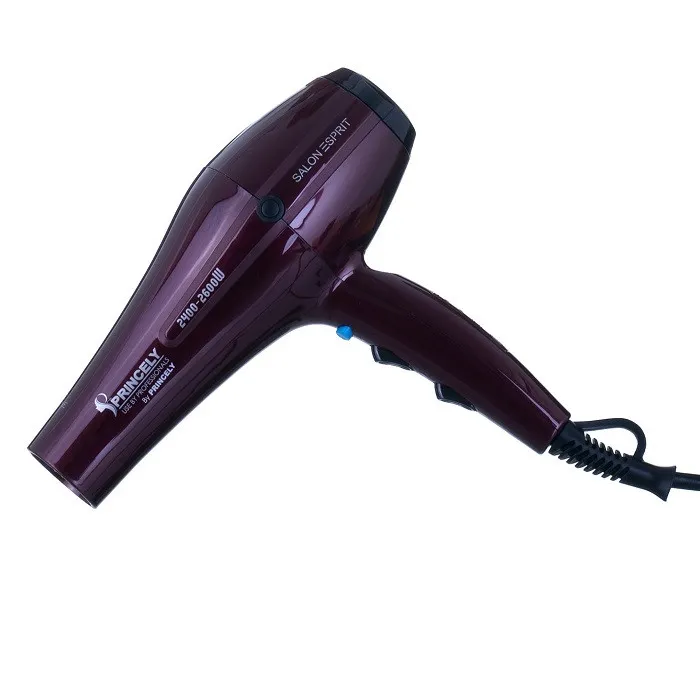 سشوار پرنسلی مدل pr 250 - تصویر 2