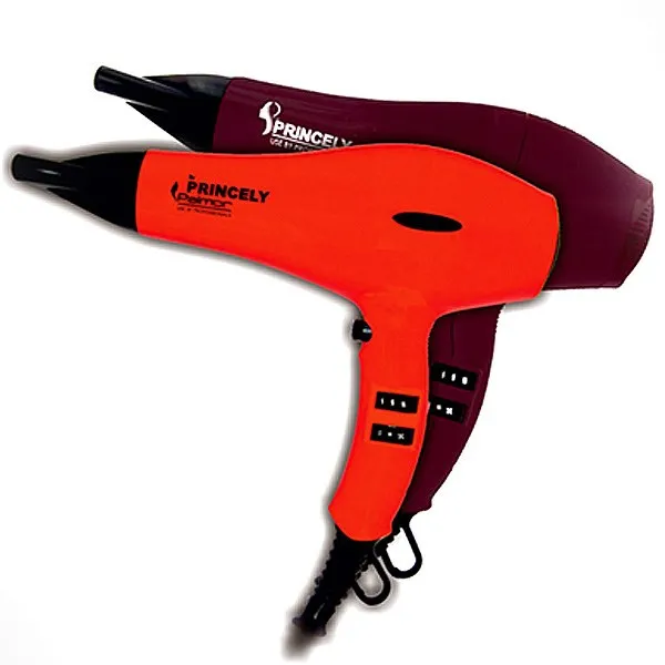 سشوار حرفه ای پرنسلی مدل PR241