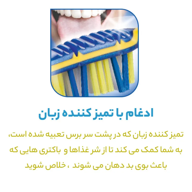 مسواک تریزا سری Super Promo مدل Flexible Head با برس متوسط بسته 4 عددی - تصویر 4