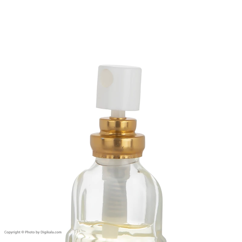عطر جیبی مردانه فیستا مدل Givenchy Amarige حجم ۱۵ میلی لیتر - تصویر 5