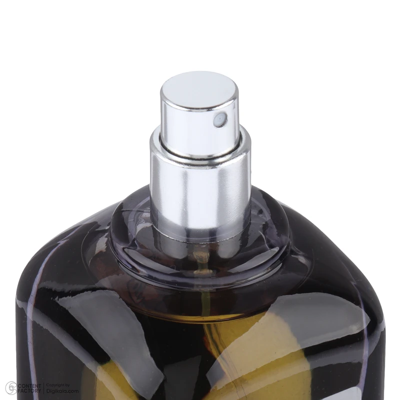 ادوپرفیوم مردانه رمینیسنس مدل Althair حجم 100 میلی‌لیتر با رایحه گرم، چوبی و گل - تصویر 3
