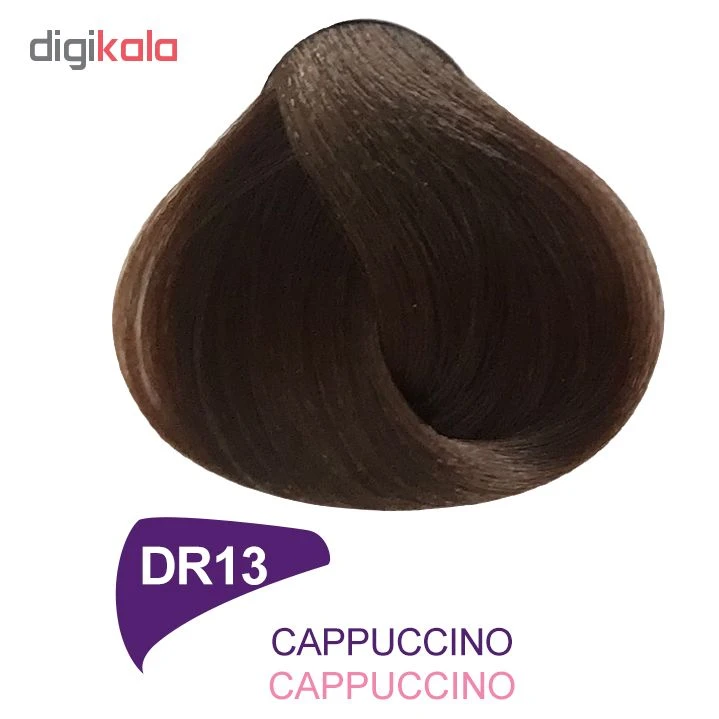 رنگ مو دینوری سری Professional شماره DR13 حجم 100 میلی لیتر رنگ کاپوچینویی - تصویر 2