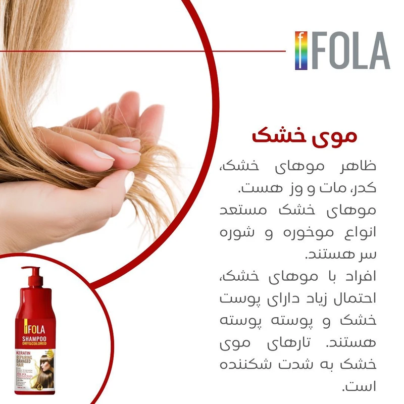شامپو تثبیت کننده رنگ مو اف فلا مدل Repairing Damaged حجم 1000 میلی لیتر - تصویر 4